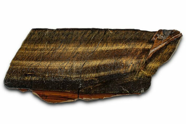 Polished Tiger's Eye Slab - South Africa #355288